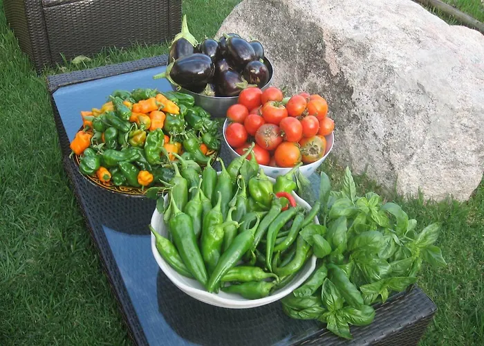 Alojamento de Acomodação e Pequeno-almoço Les Jardins De Mathieu Porto-Vecchio (Corsica)